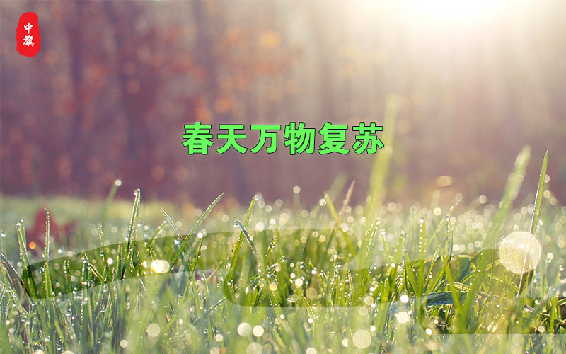 春天萬物復蘇的季節(jié)