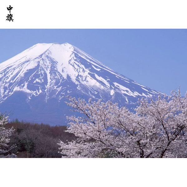 北京入境旅游旅行社設(shè)立與運(yùn)營方案