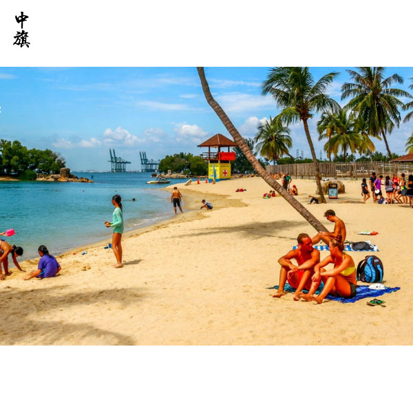 沒有導(dǎo)游證，怎么經(jīng)營旅行社？