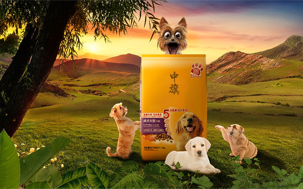 狗糧也要選一些大品牌，最起碼對(duì)咱們家的狗狗健康重要.jpg