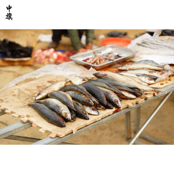 賣(mài)魚(yú)攤一般都需要準(zhǔn)備什么？