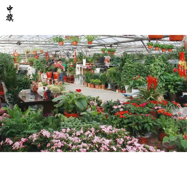 在北京開一家花鳥魚市場(chǎng)前景怎么樣？