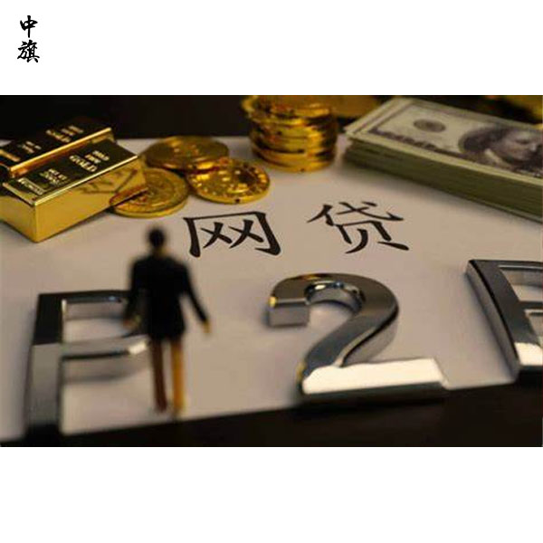 借款公司營業(yè)執(zhí)照填寫詳細(xì)教程，照著填就行了