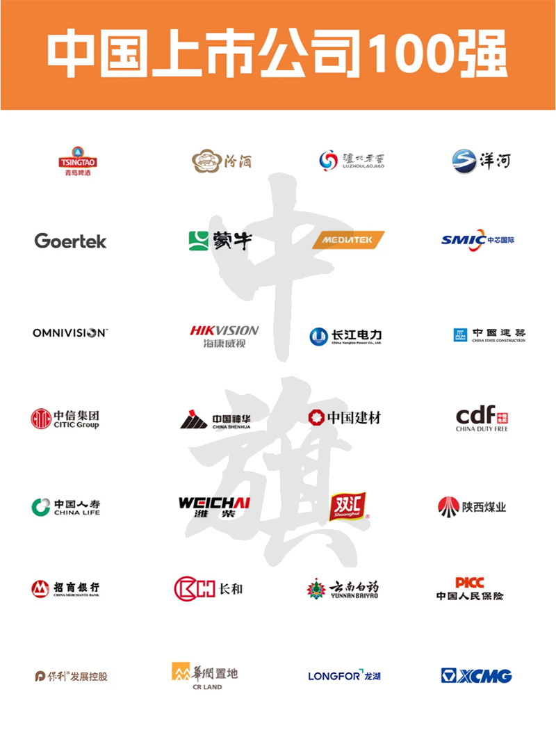 中國上市公司100強企業(yè).jpg