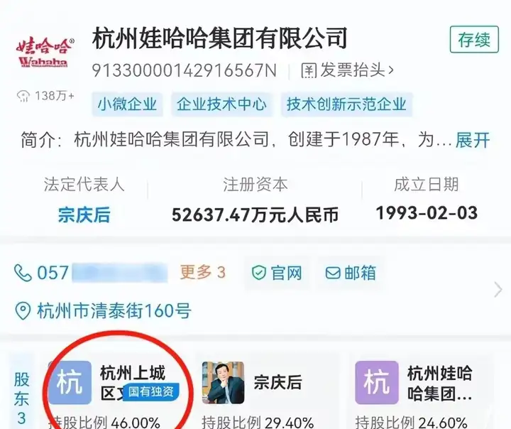 杭州娃哈哈集團有限公司占股比例.png