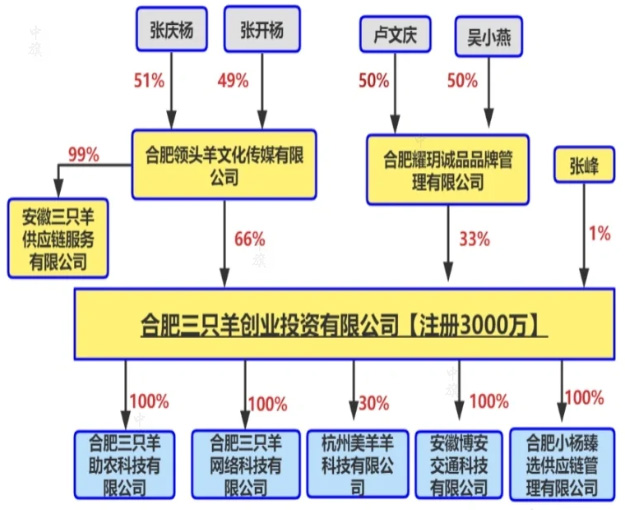 瘋狂小楊哥的主體公司.jpg