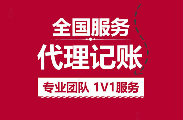 全國服務(wù)代理記賬專業(yè)團(tuán)隊(duì)