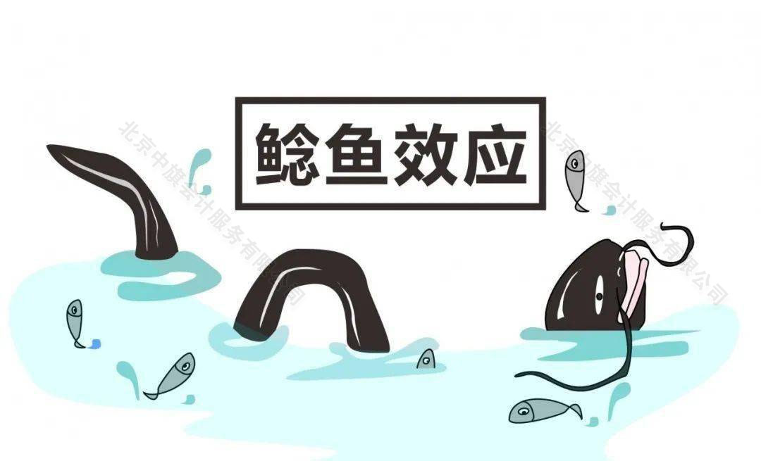 鯰魚效應.jpg 鯰魚效應.jpg