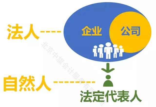 子公司在母公司破產(chǎn)時(shí)該如何處理.jpg