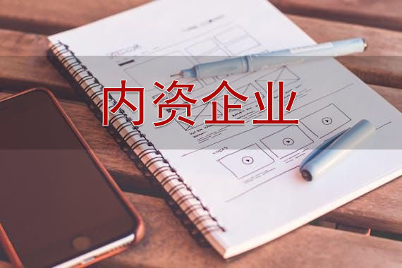 內資企業(yè)