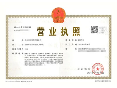 個人獨資企業(yè)