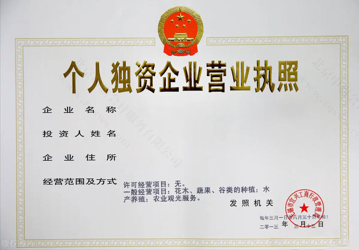 個(gè)人獨(dú)資企業(yè)營業(yè)執(zhí)照.jpg
