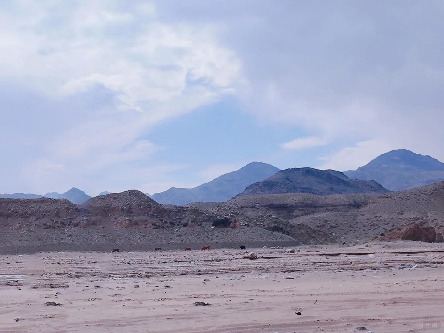 渡陰山這里只能看看風(fēng)景