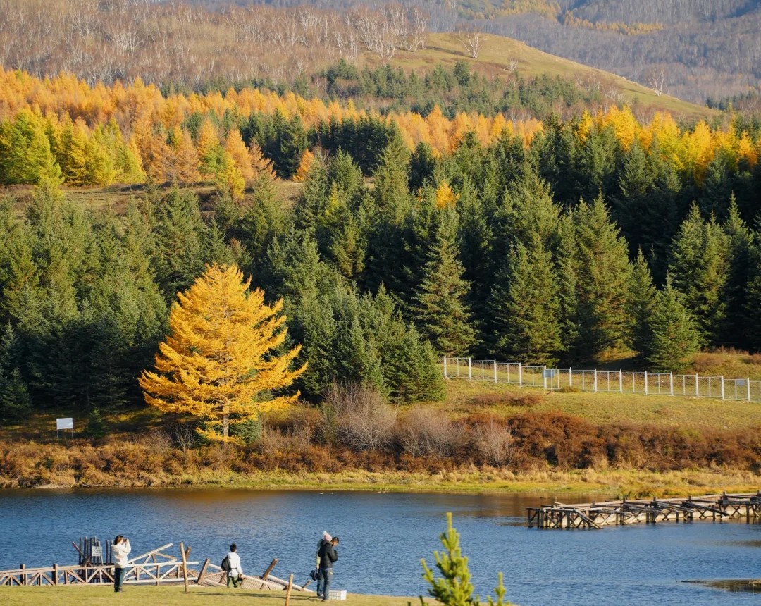 北疆風(fēng)景大道
