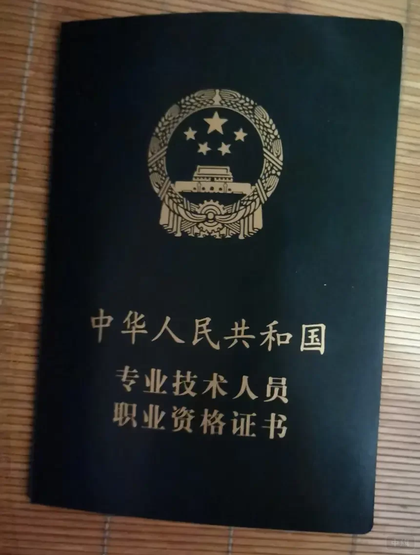 專業(yè)技術(shù)人員職業(yè)資格證書