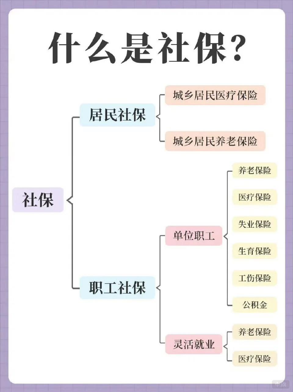 什么是社保？